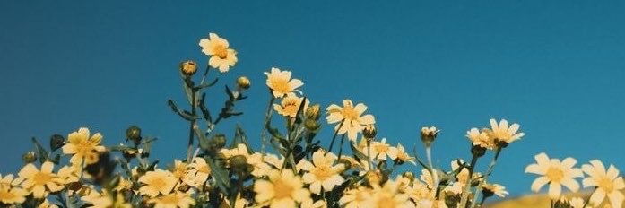 cloudsSarahhh's profile banner image