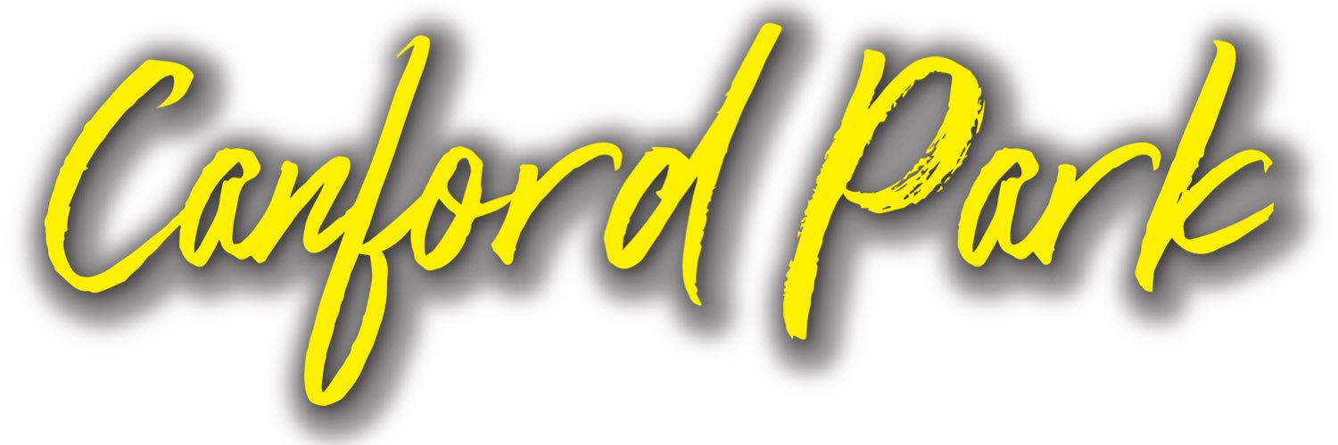 Bristol Fireworks Fiesta banner