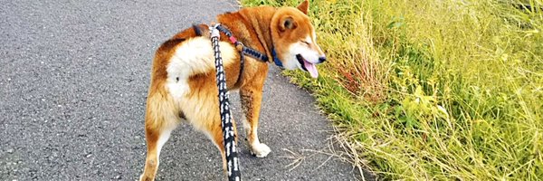 awsm_hm Profile Banner