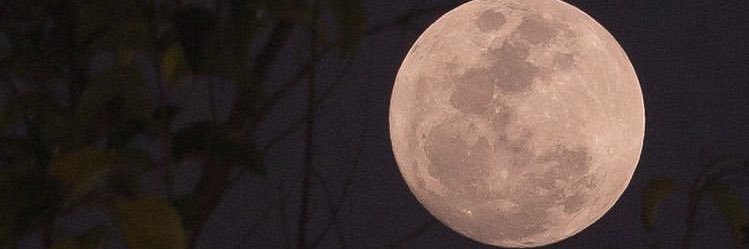 selenophilemhds's profile banner image