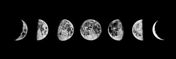 maria_ortegag's profile banner image