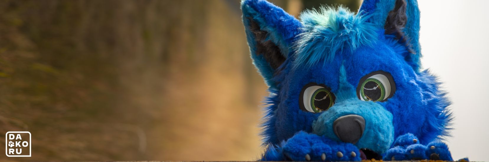 toruiDev's profile banner image