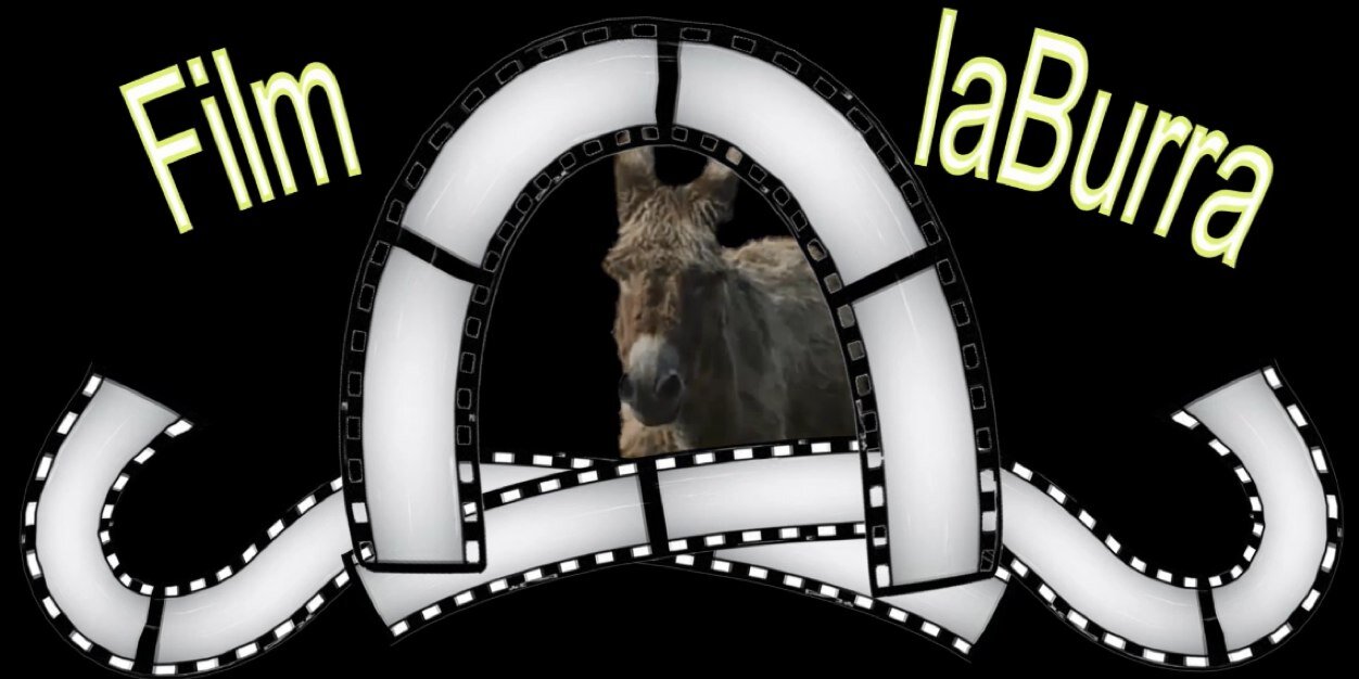 FilmlaBurra's profile banner image