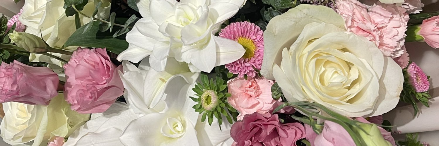 NikiAtef's profile banner image