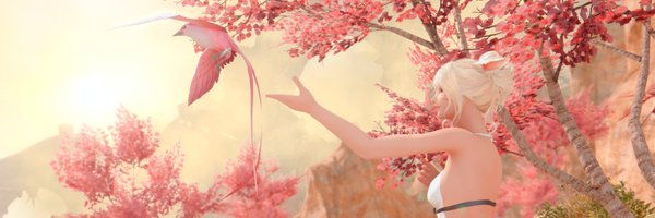 Apollo_ffxiv Profile Banner