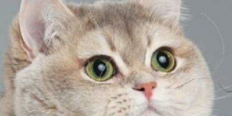 _ndyamhd's profile banner image