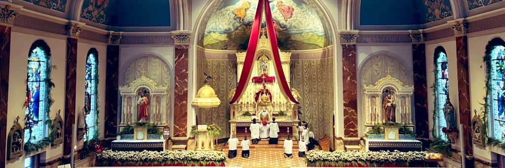 Mason-Dixon Latin Mass Society's banner