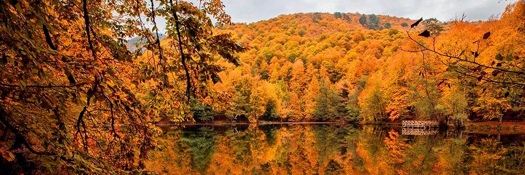 Qarayeva_f28's profile banner image
