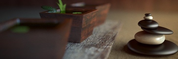XenCryptoNews's profile banner image