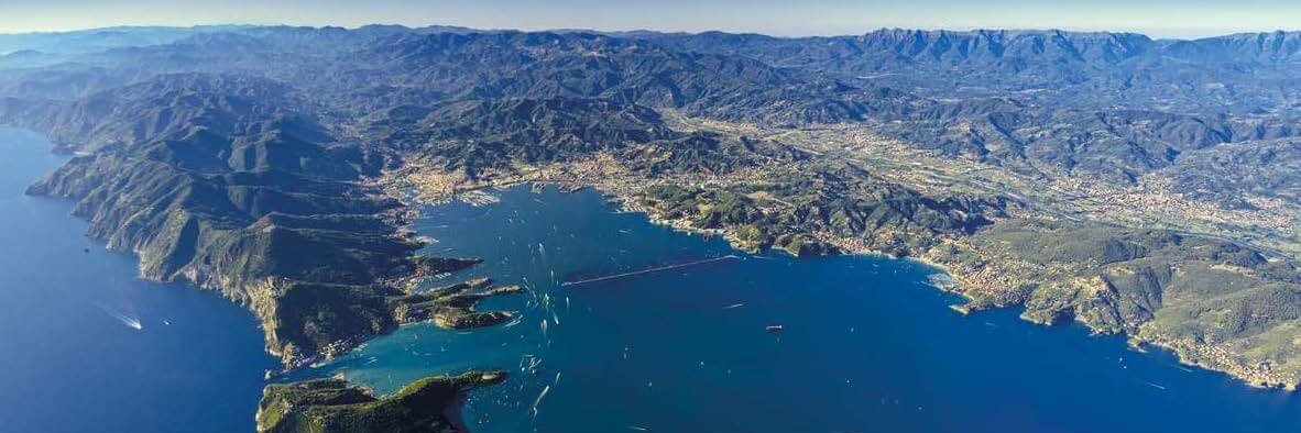 Mattia Gavini banner