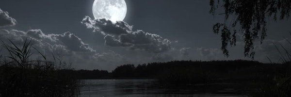 RollinRhythms Profile Banner