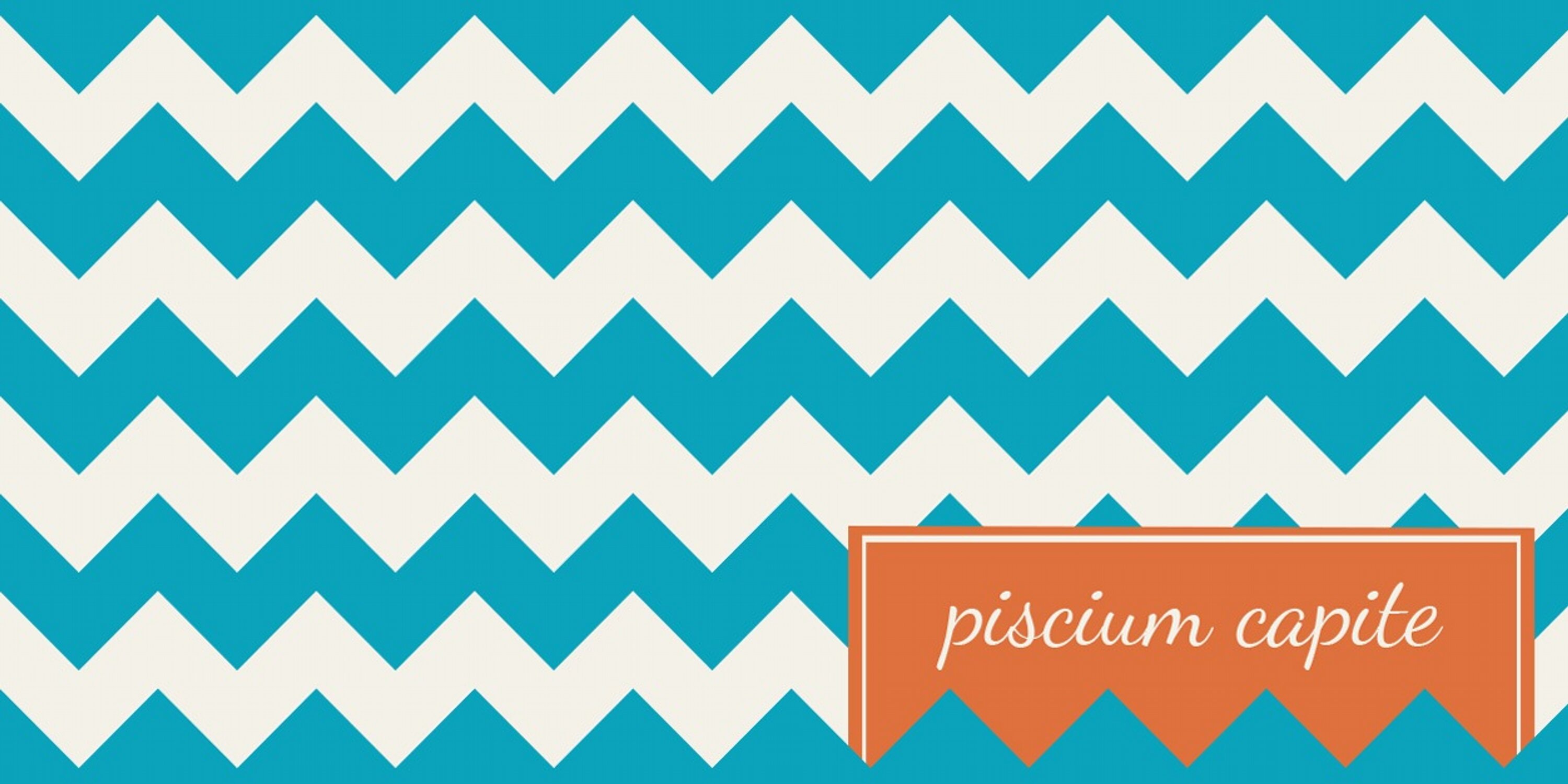 PaulienCornelia's profile banner image