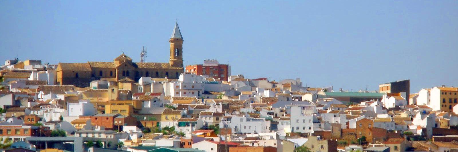 Porcuna Digital banner