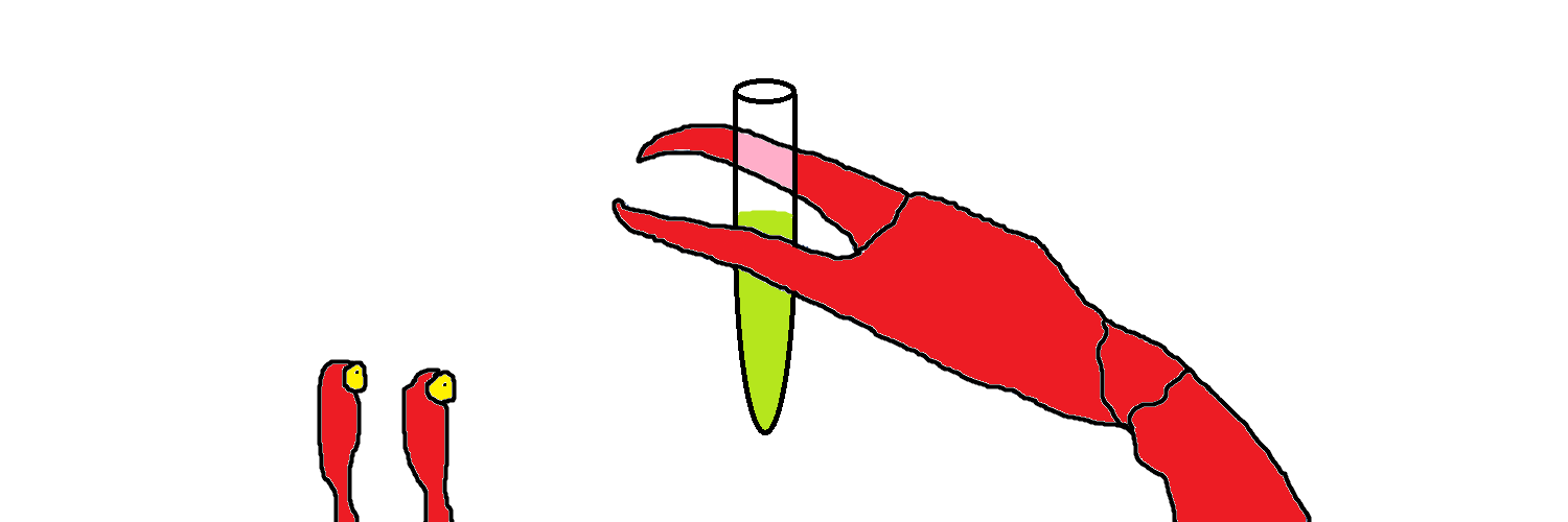 TheLabCrab's profile banner image