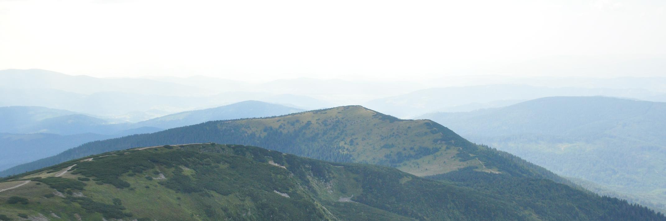 pyrek_p's profile banner image