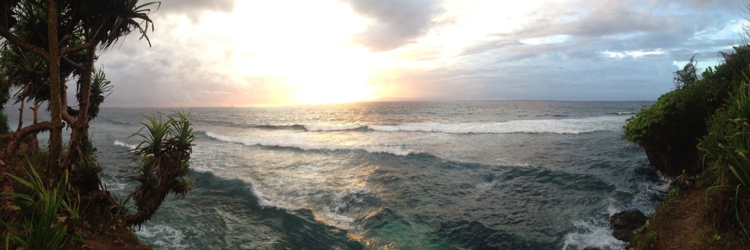 mmflores's profile banner image