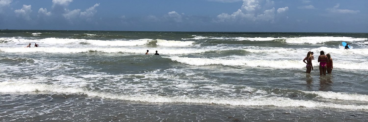 TexasChick2022 banner