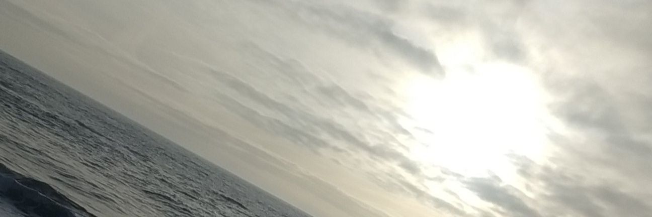 Afonso banner
