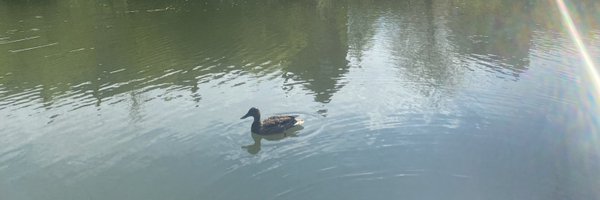 EthicsAlways Profile Banner