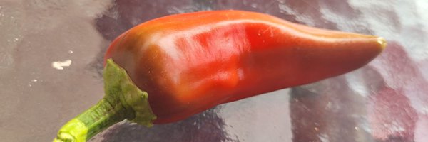 WudntYaLikeTNo Profile Banner