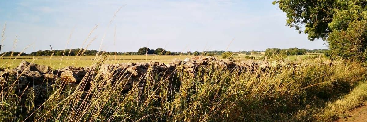 Daniel Hadfield banner