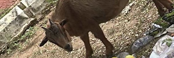 Unseen_555 Profile Banner