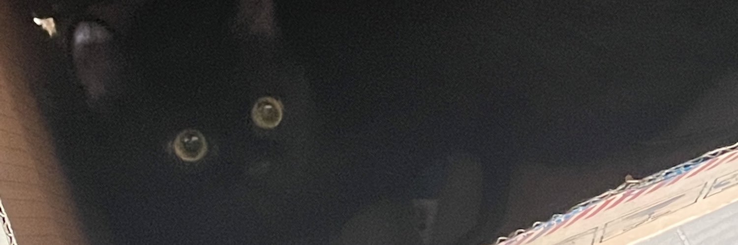stfuwakin's profile banner image