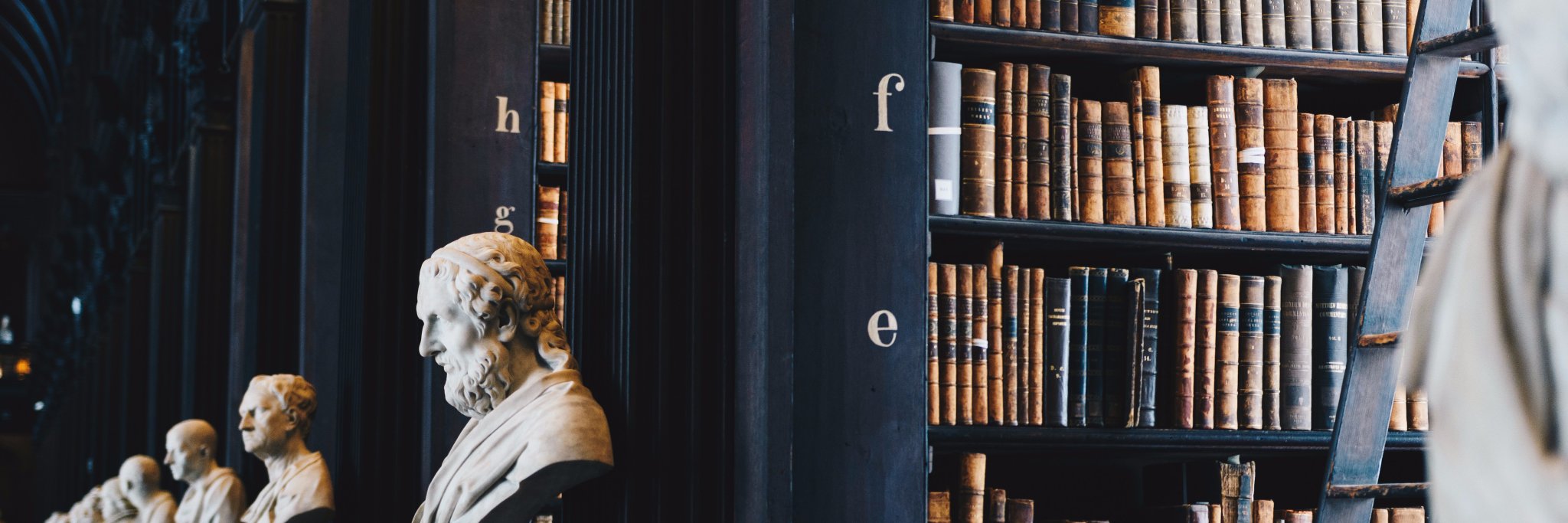 edvinas's profile banner image