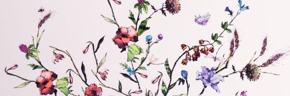 apapapple_ringo's profile banner image