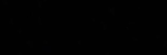 siiz53's profile banner image