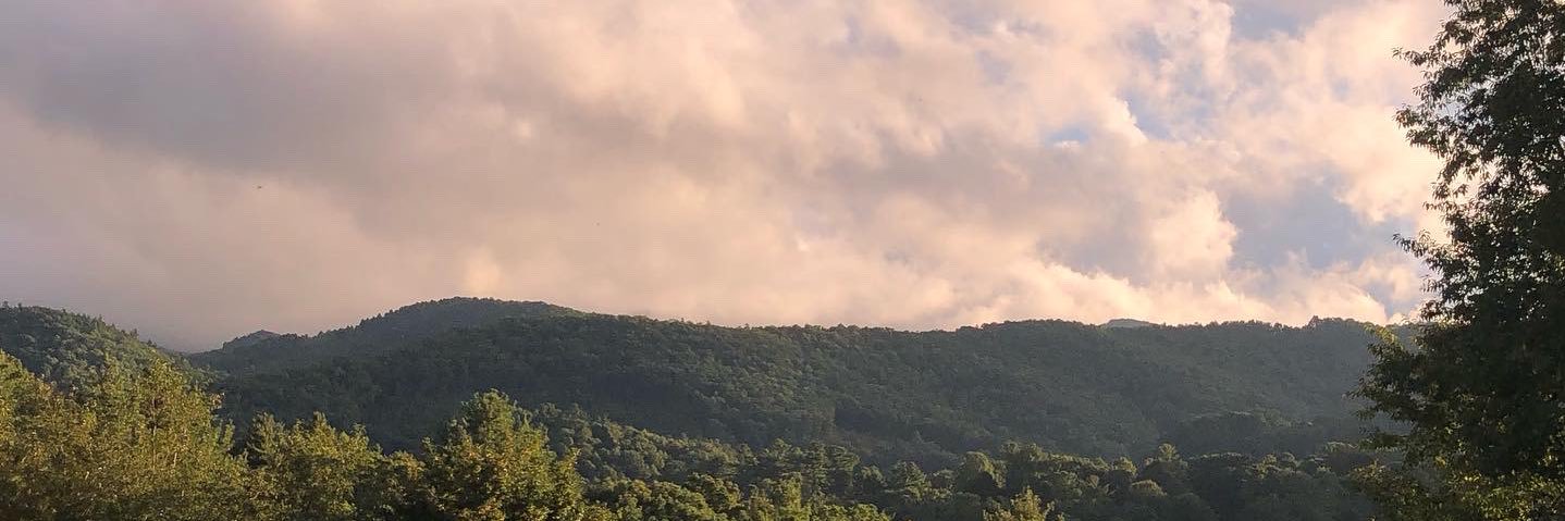 stikycrabbyanus's profile banner image