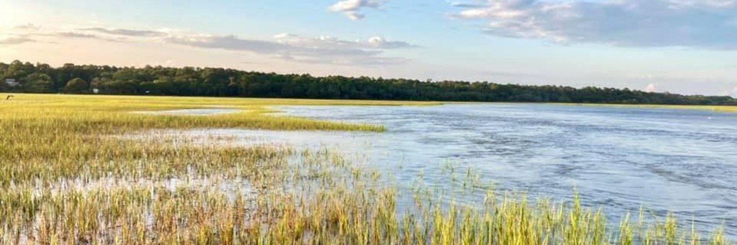 Watershed Consulting Group banner