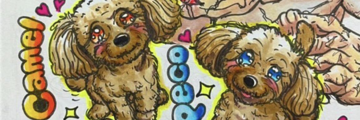 peco🐶&camel🐶's banner