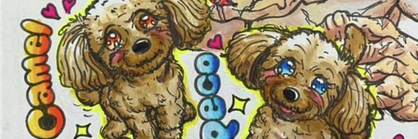 CamelPeco Profile Banner