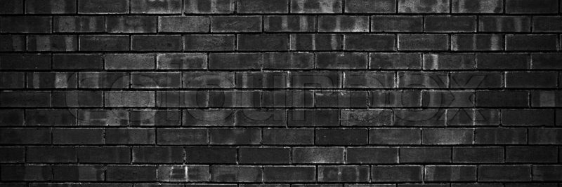 elatropellado's profile banner image