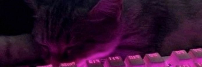 pratayashi's profile banner image