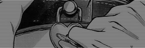 chubby_chann's profile banner image