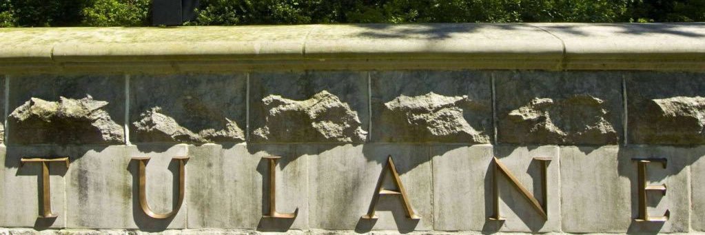 Green Wave Academics banner