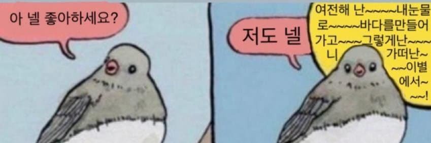 알티하는 새럼 banner