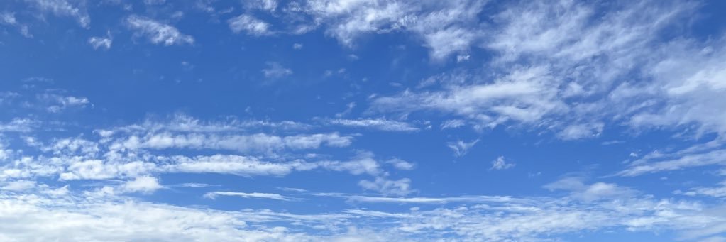 韓国・中国代行🐰🍀 banner