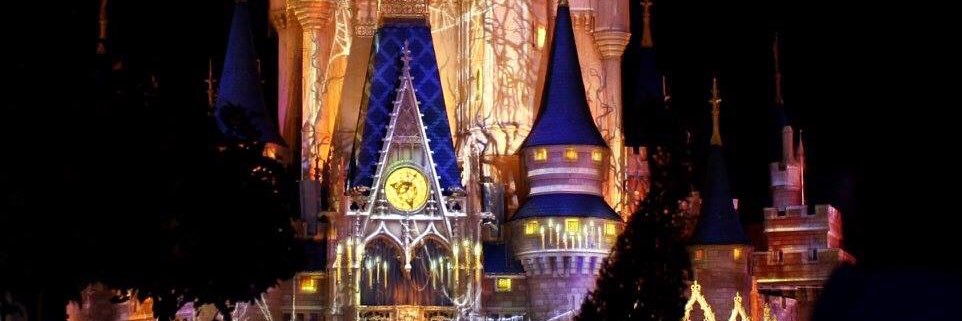 💞Elle D🥝 banner