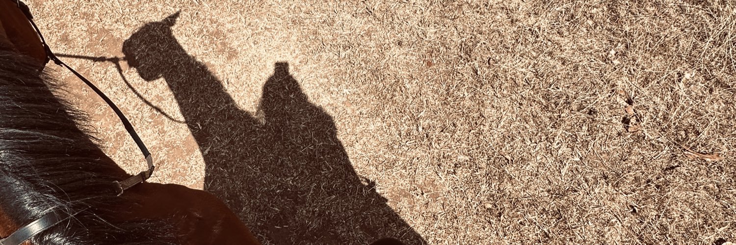 alisssgrv's profile banner image