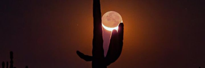 Consultor de MARKETING y empresario banner