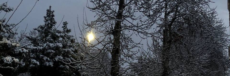 lilpnnnn4's profile banner image