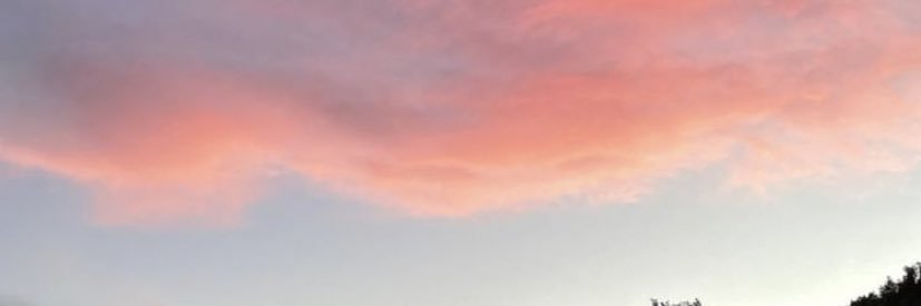 🌦️(•_•)🍉 banner