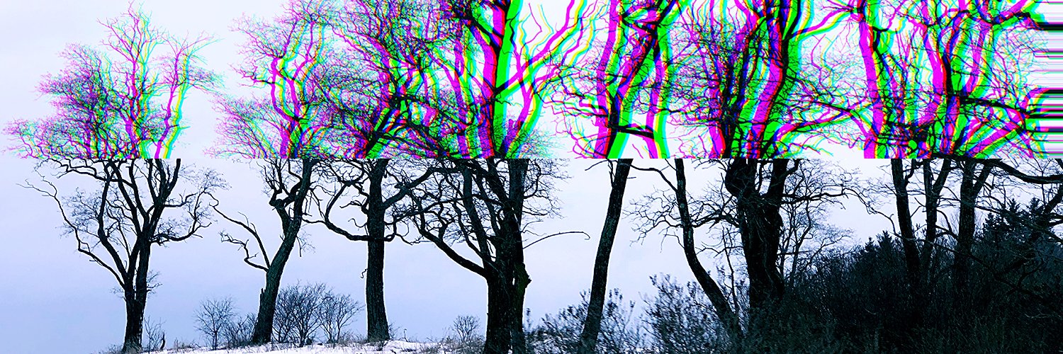 adayinapril's profile banner image