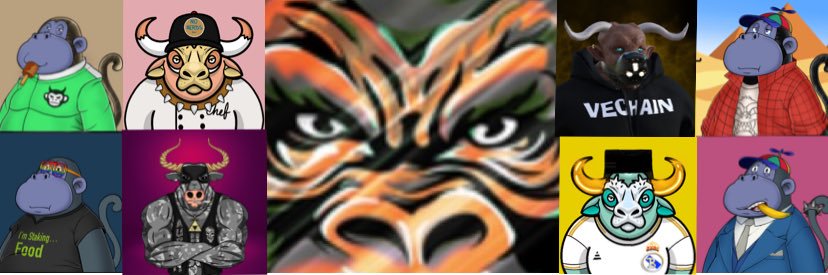 ZeKong banner