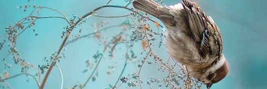 dja_emmy's profile banner image