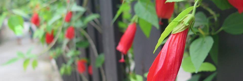 AbiGilman's profile banner image