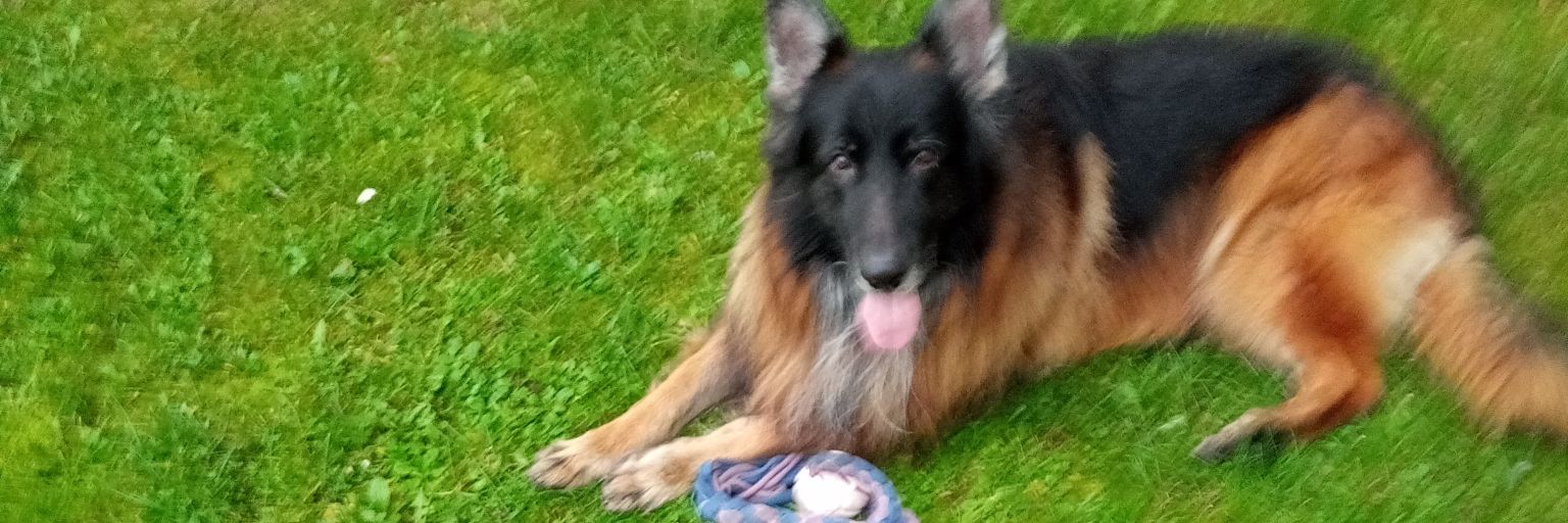 Małgorzata Urbanowicz banner